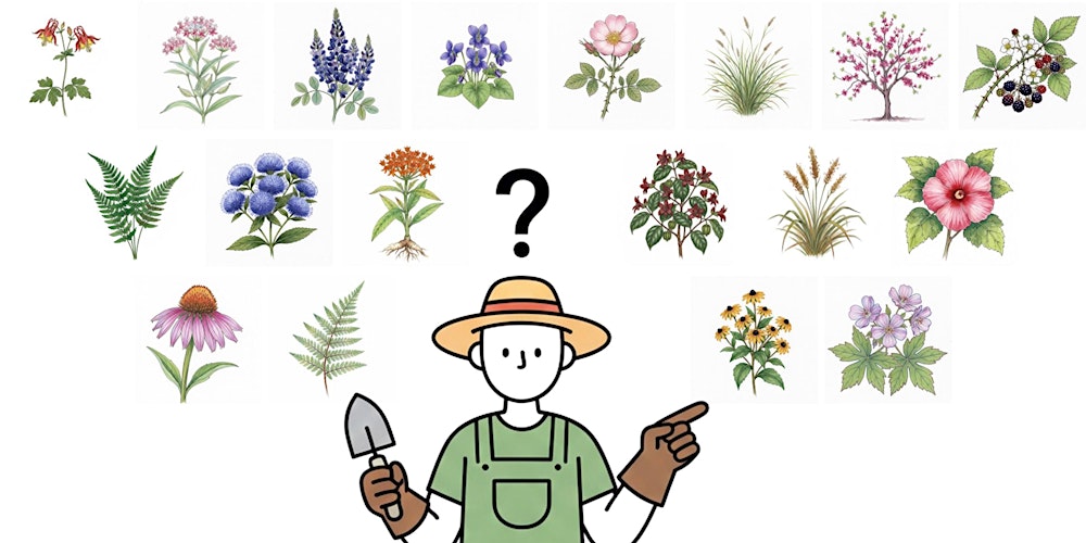 Selecting Native Plants for Your Garden