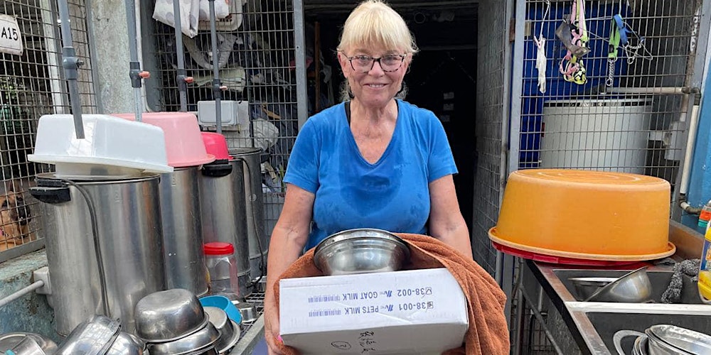 Dog shelter: New volunteer training  with "Sai Kung Stray Friends"