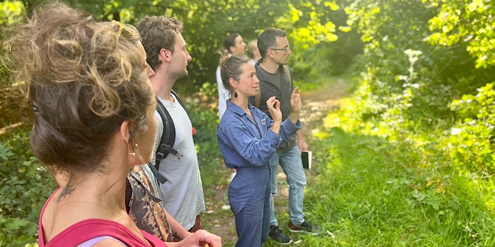 Winter Herbal Medicine Courses - Foraging Walks in Bristol