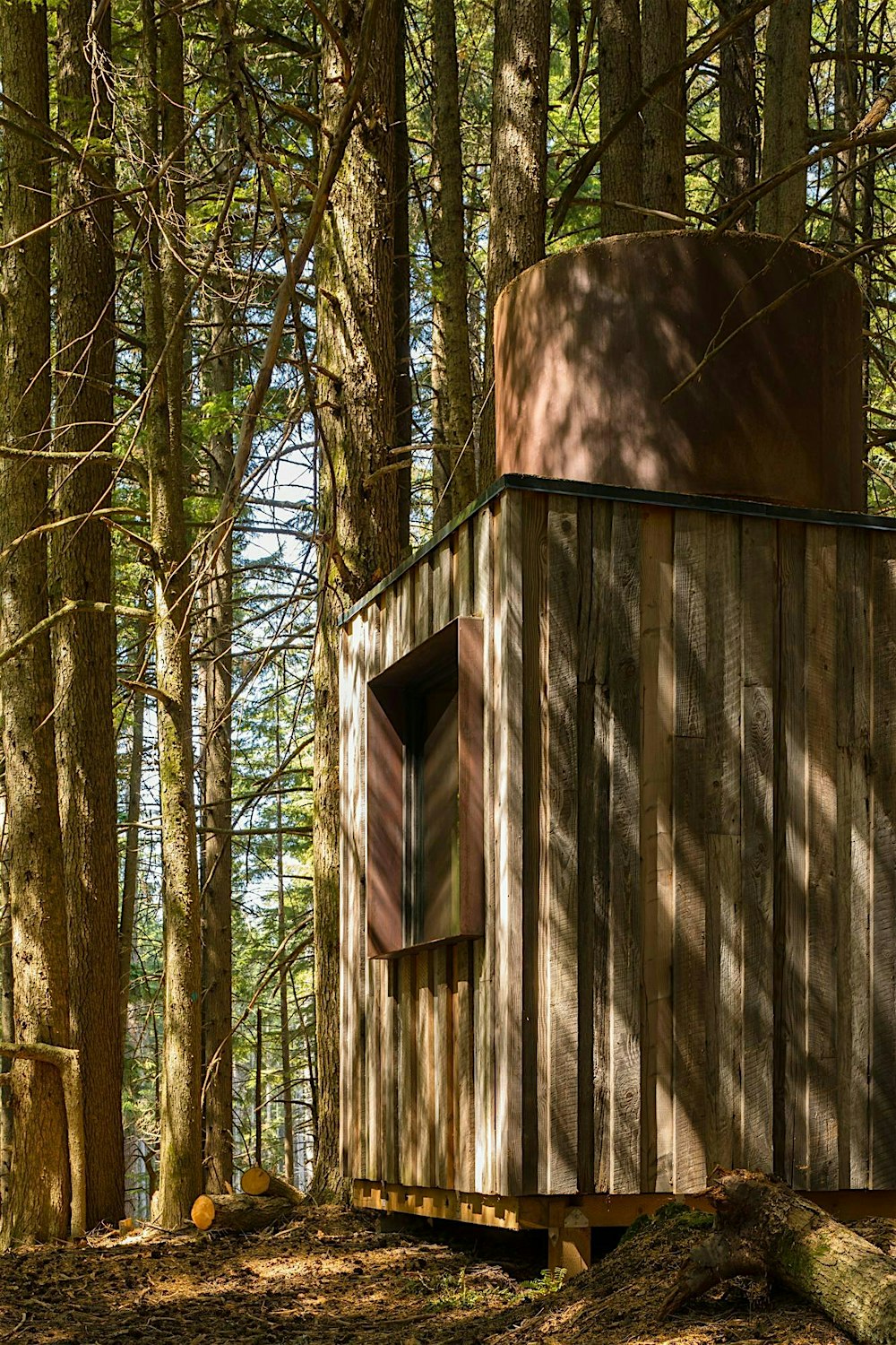 Susan Jones | Light on Wood