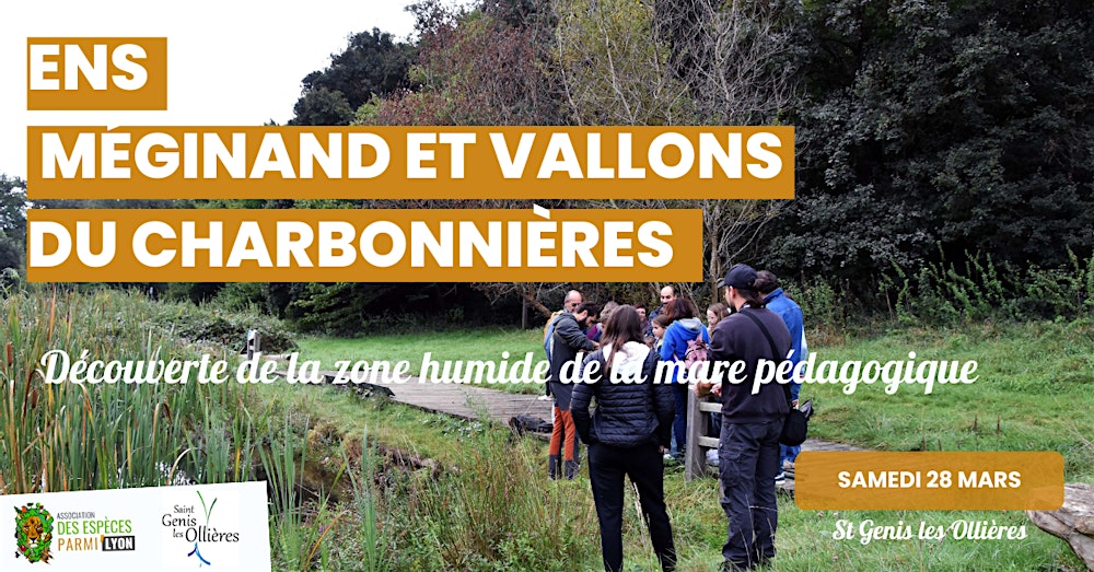 ENS Méginand - A la découverte de la zone humide de la mare pédagogique