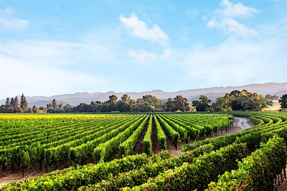 Chart House - Caymus Wine Dinner - Jacksonville