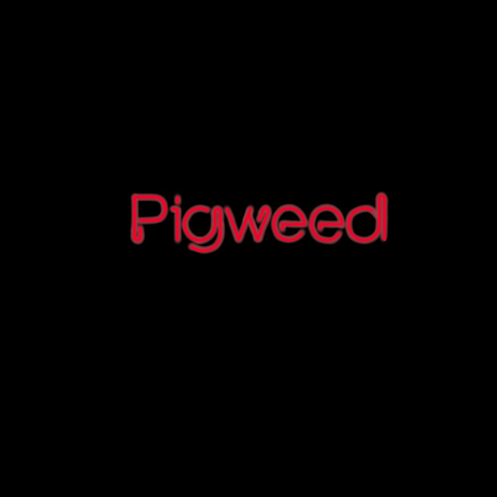 Pigweed