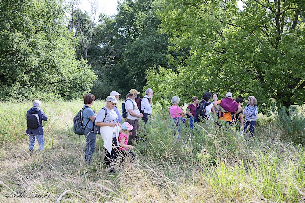 Balade ludique et sensorielle sur l'ENS du Méandre des Oves