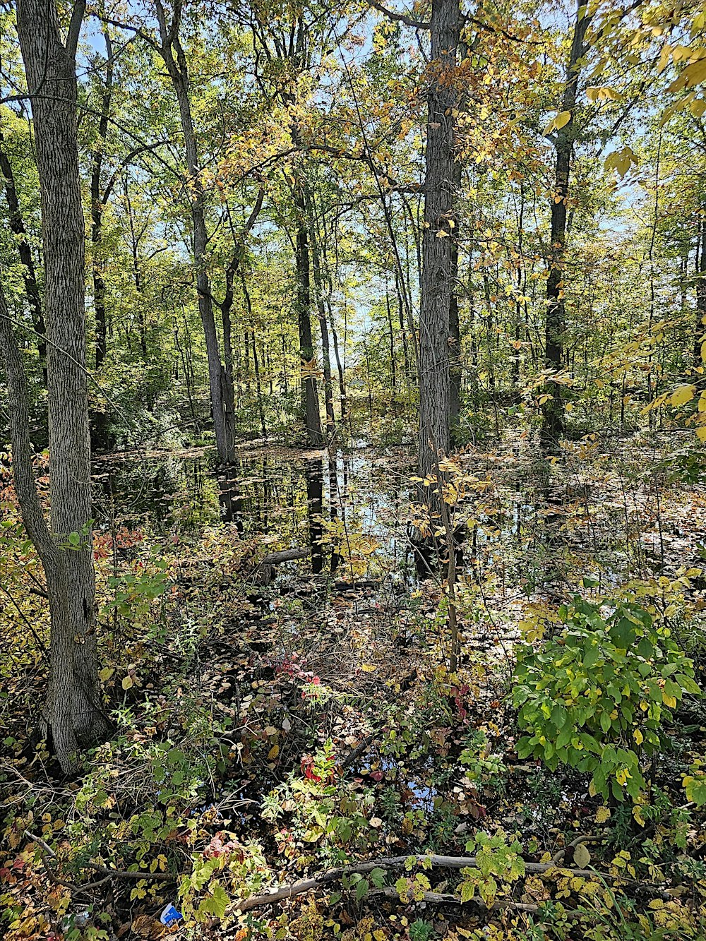 Answers from The Field