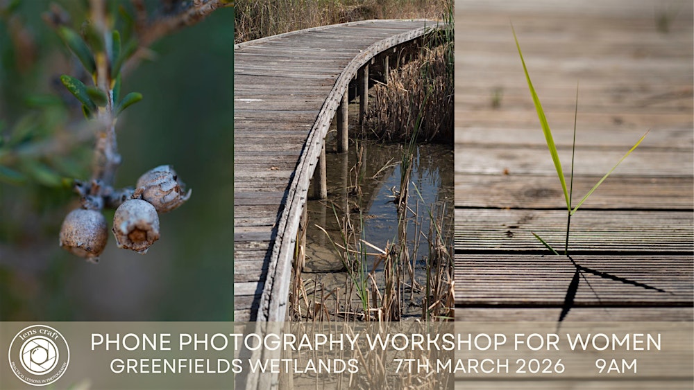 Basic Phone Photography — Learn to Capture Better Everyday Photos