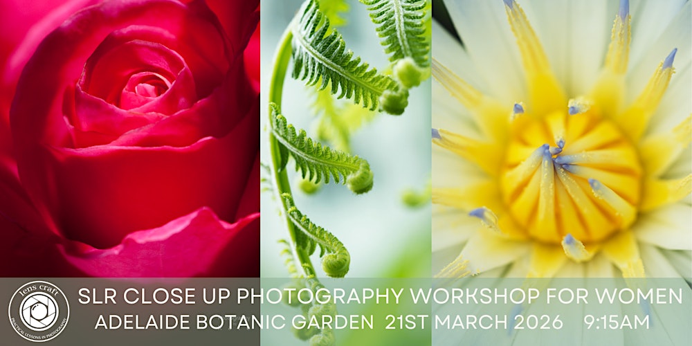 Macro Photography with DSLR/Mirrorless