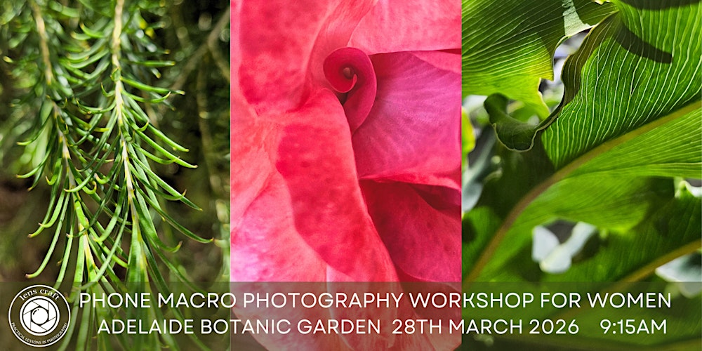 Macro Phone Photography — Capture Beautiful Tiny Details