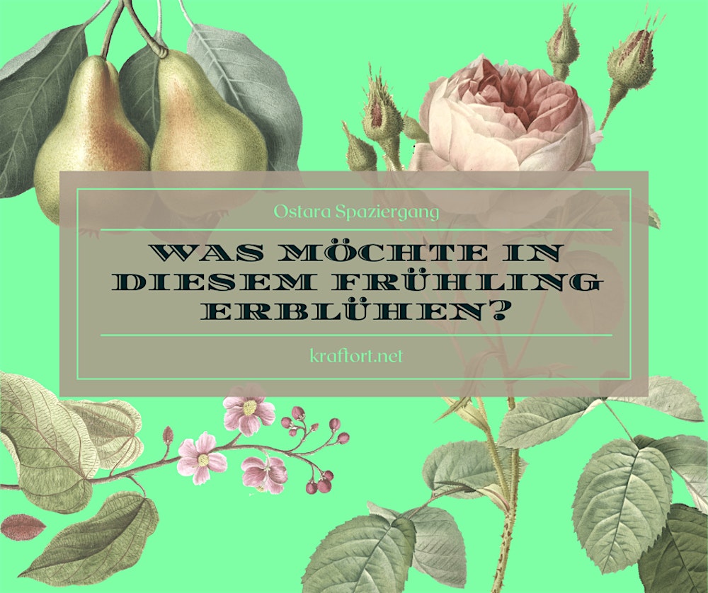 Geführter Ostara Spaziergang-Frauenkreis