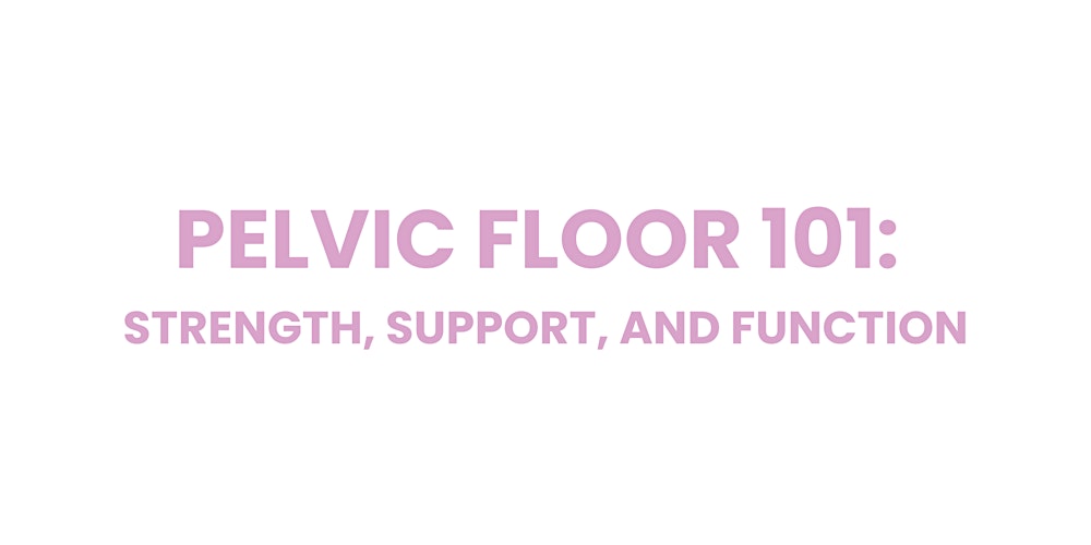 Pelvic Floor 101: Strength, Support and Function