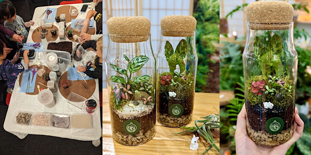 School Holiday Terrarium Building Workshop (Cork Jar)