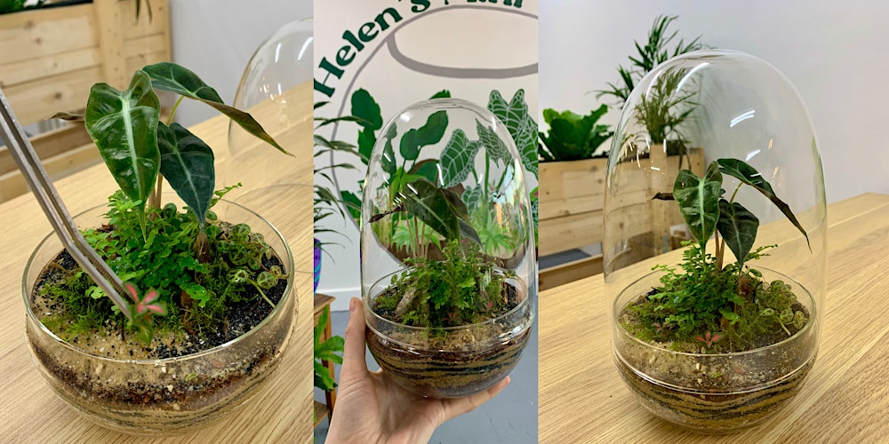 Terrarium Building Workshop