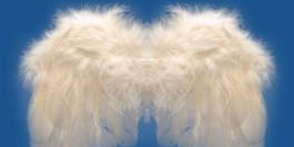 INSEAD Business Angels Alumni France - 73ème réunion