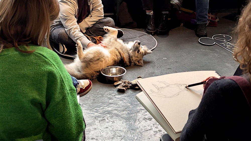 Life Drawing with Dogs