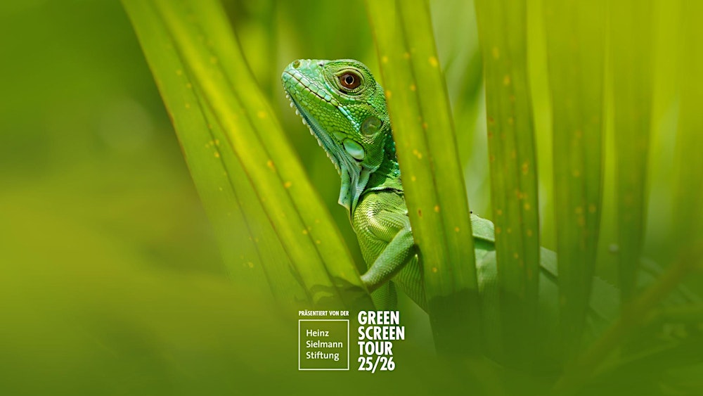 GreenScreenTour 25/26