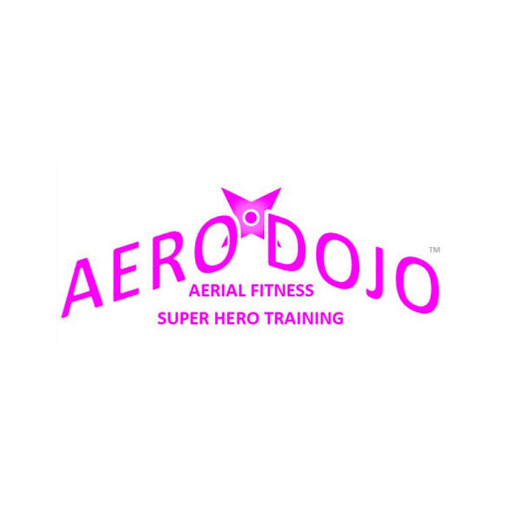 Aero Dojo: Aerial Flight & Fight