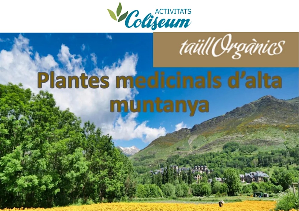 «Edelweiss» i Àrnica.