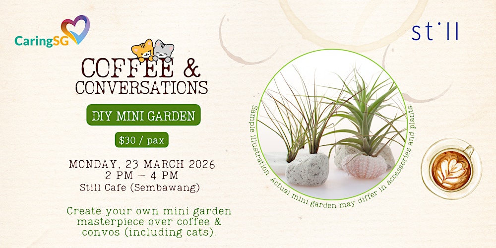 Coffee & Conversations: DIY Mini Garden