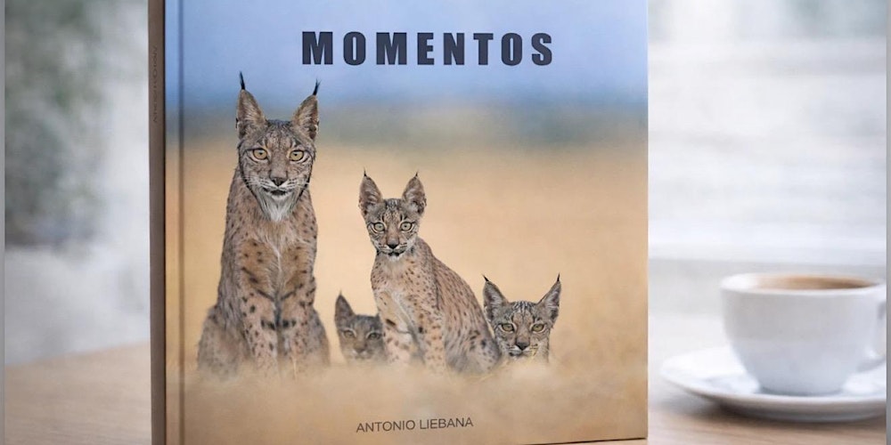 Presentacion de"MOMENTOS"  con presentación de Mauricio Anton