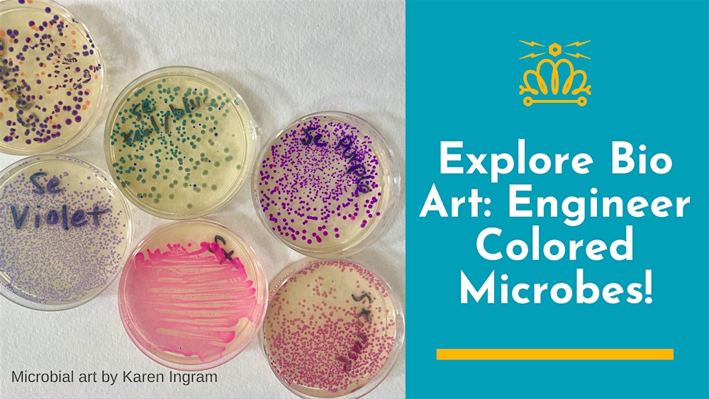 Explore Bio Art: Engineer Colored Microbes!