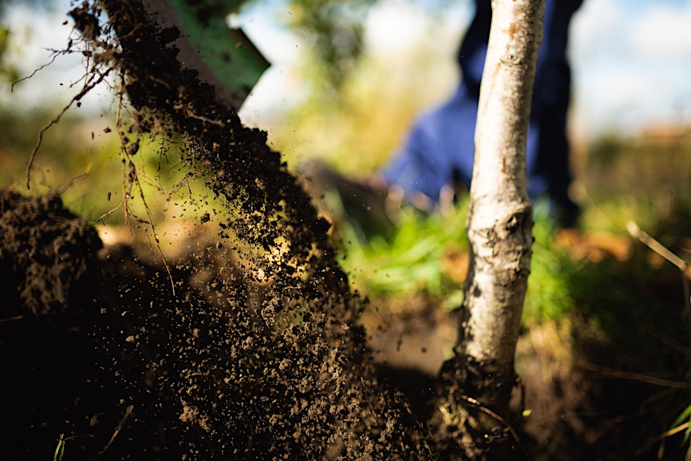 Bûûmplant BXL  - Ecole Merlo Ukkel