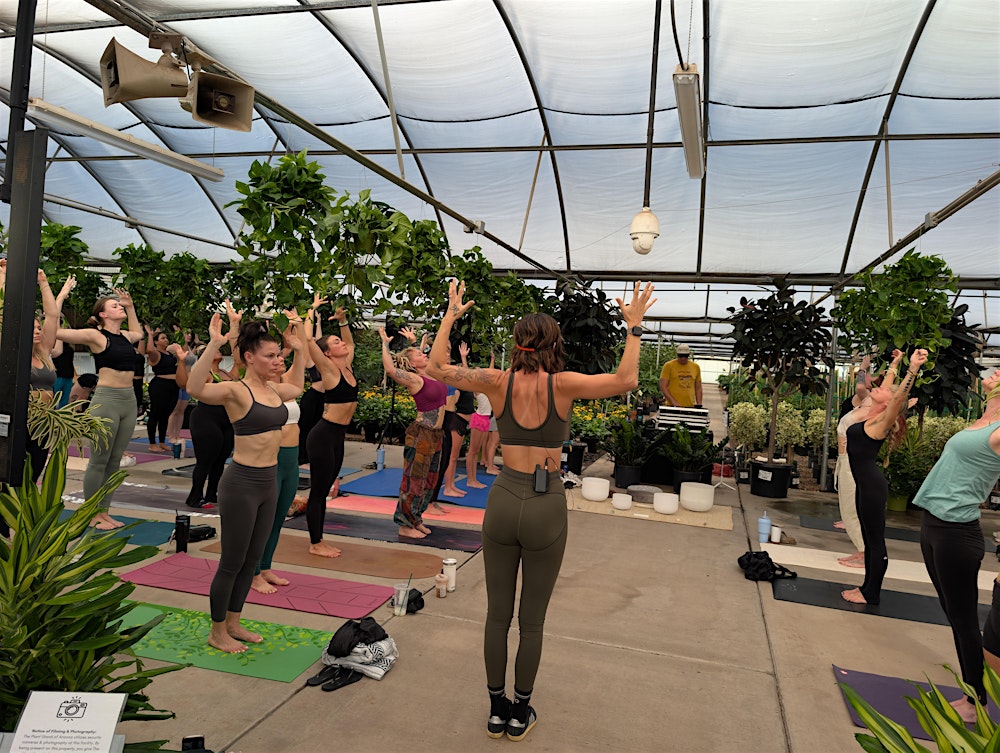 Yoga in the Greenhouse with Bentley