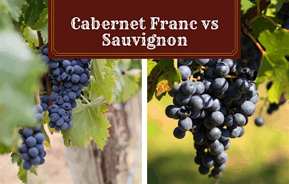 Cabernet Savvy: Wine Tasting Varietal Focus Masterclass Exploration Series