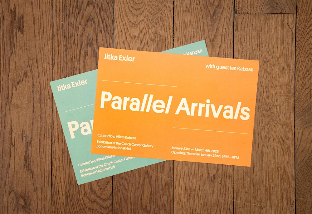 Parallel Arrivals [exhibition closing guided tours]