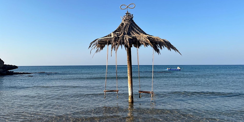 Linkedin Local Vol. 12