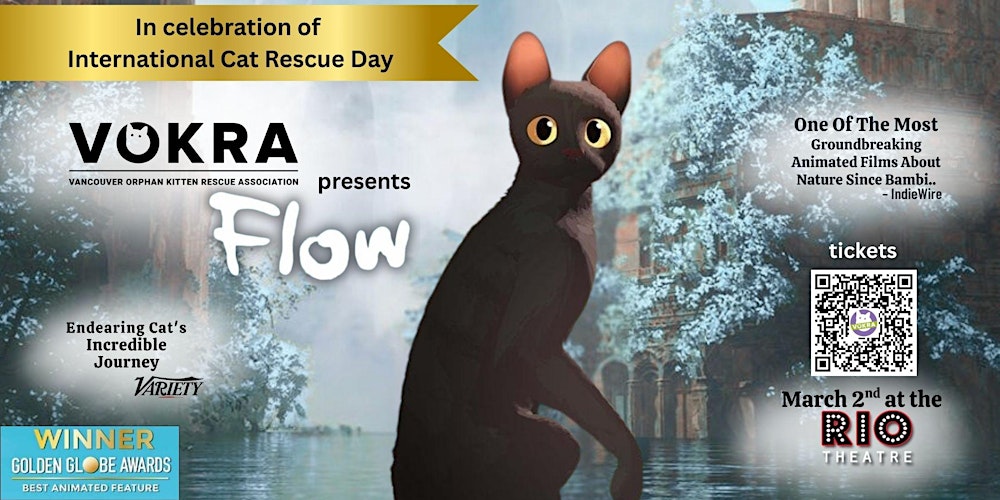 Screening of Flow at the Rio presented by Vokra