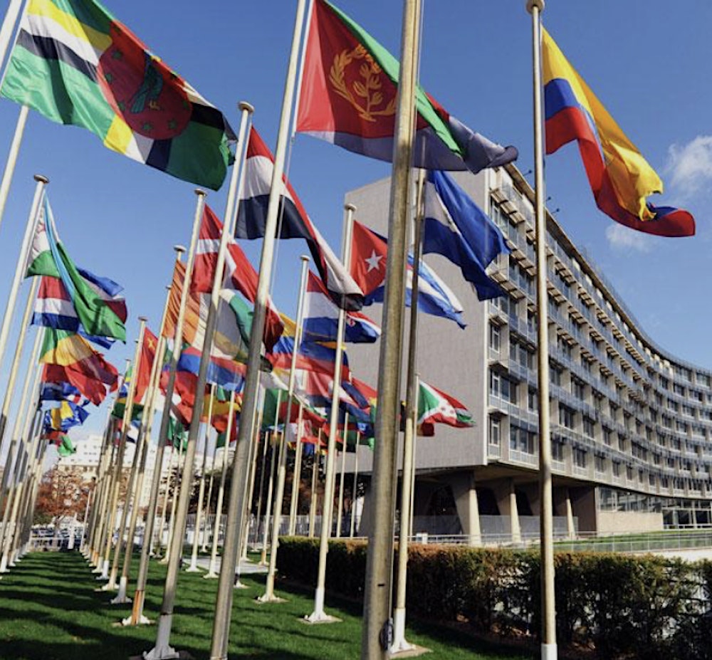 UNESCO HQ Guided Tour