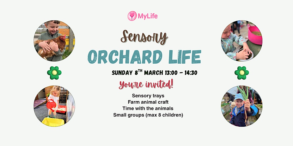 Sensory Orchard Life