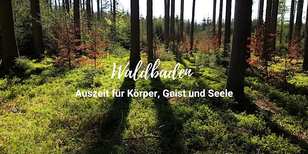 Waldbaden im Münchner Westen