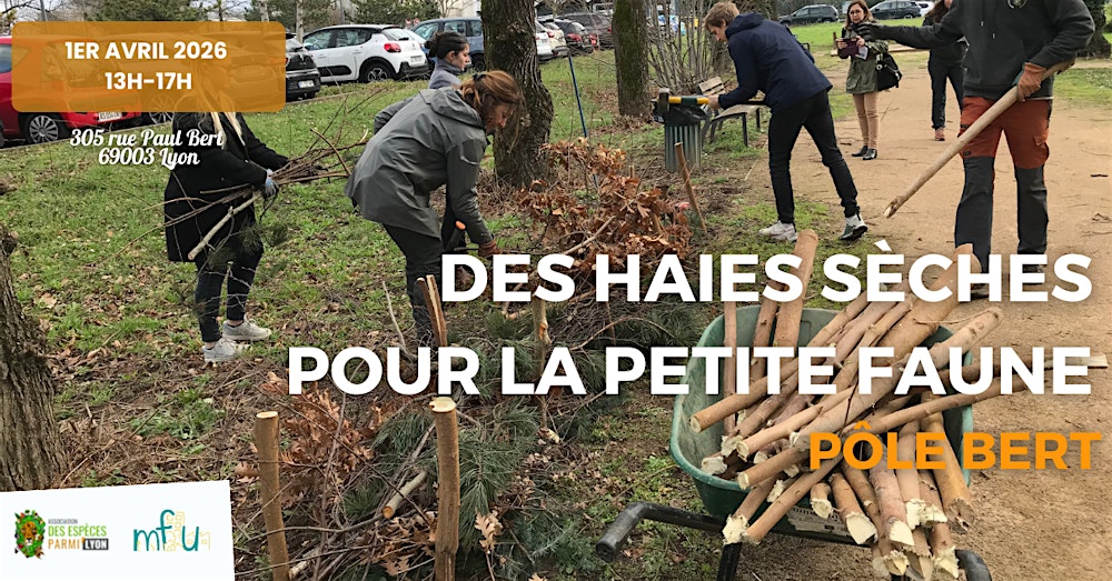 Création de haies sèches pour la faune du Pôle Bert