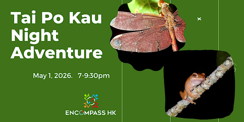 Tai Po Kau Night Adventure