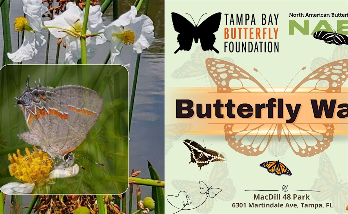 Butterfly Walk at MacDill 48