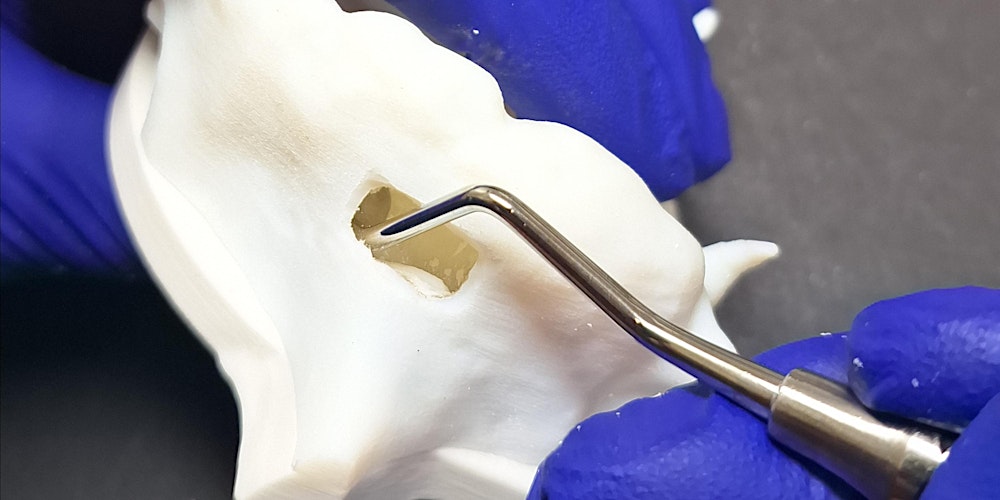 Bone Grafting Course