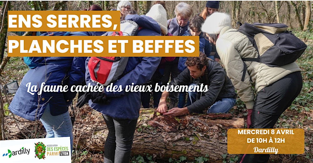 A la découverte de la  faune  des vieux boisements du bois de Serres