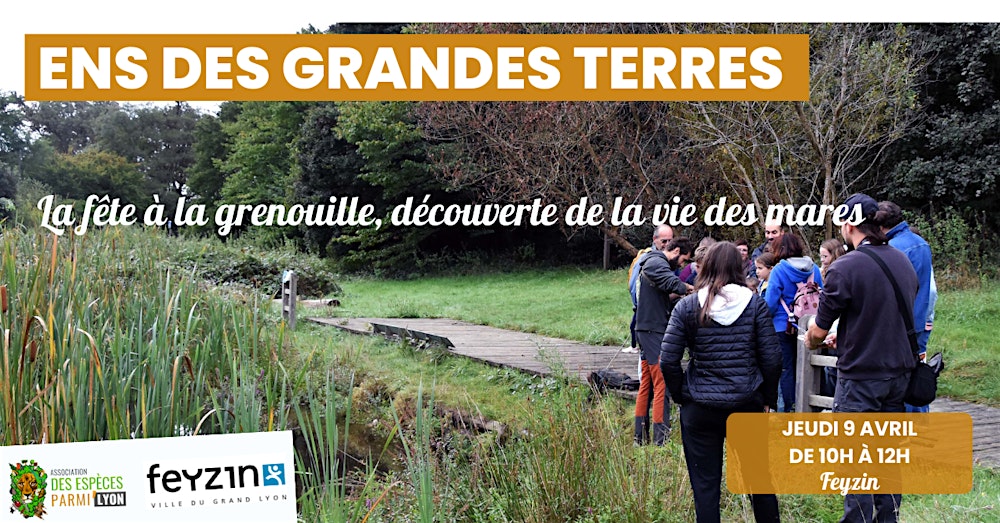 La fête à la grenouille, découverte de la vie des mares des Grandes Terres