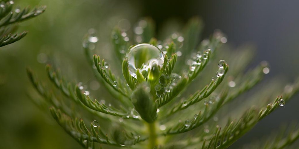 Faszination Wasser – Glanz, Kraft und Stille fotografisch eingefangen