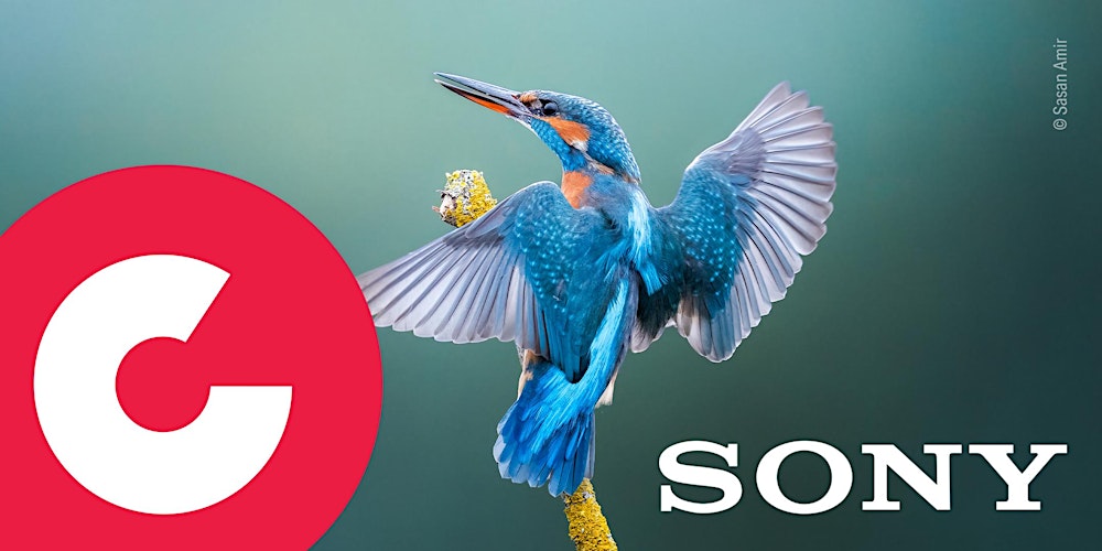 Sony Masterclass: Wildlife-Foto- & Videografie