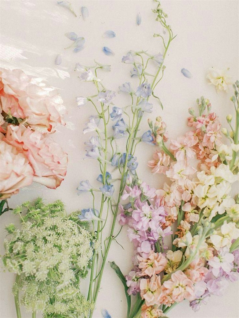 Petals and Pours - Floral Workshop