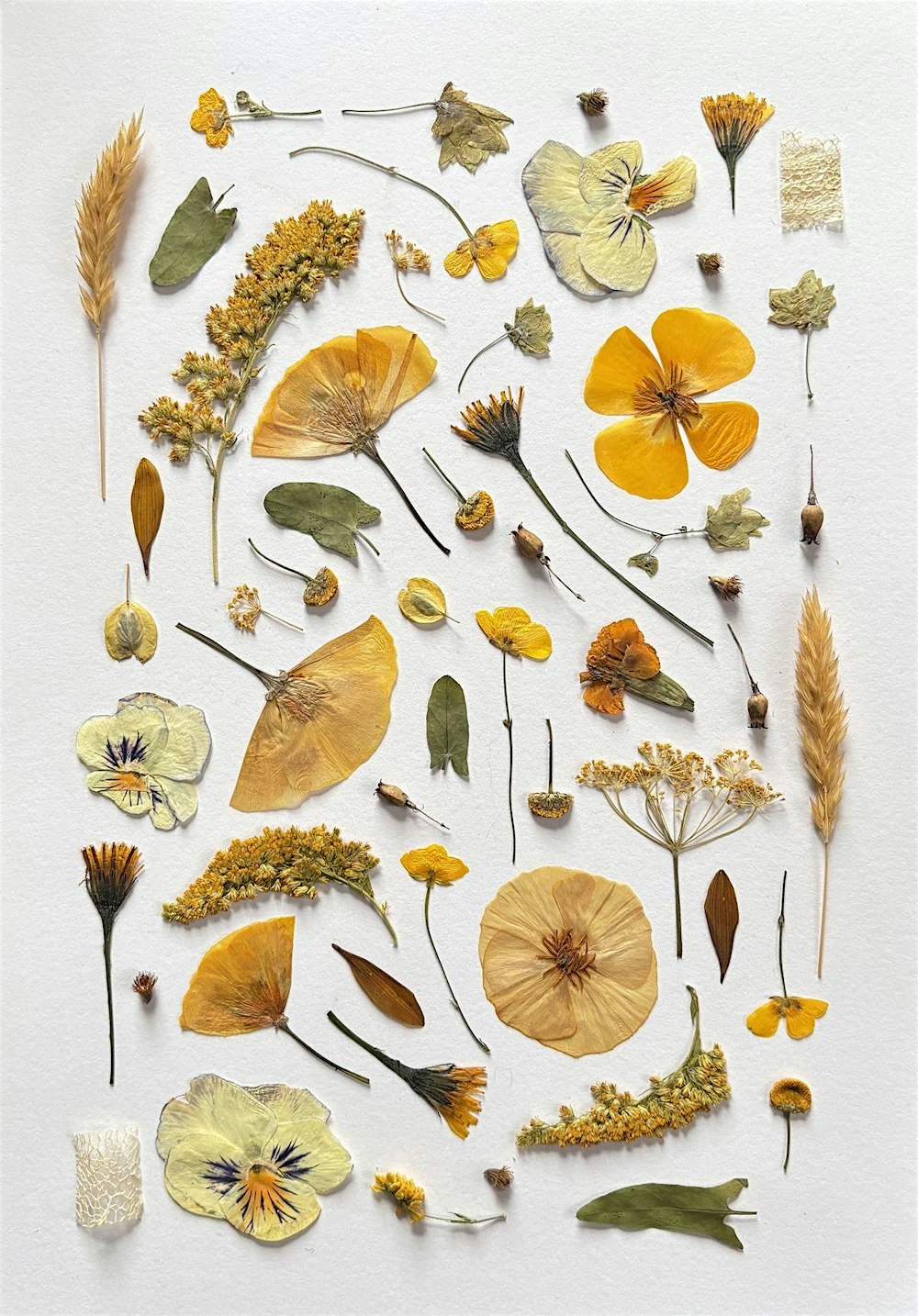 Taller de meditación + escritura consciente + flores prensadas