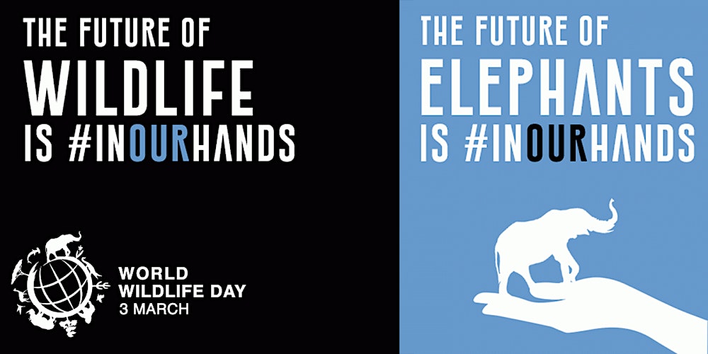 GPF Executive Program in Port Wildlife Protection, 13-17 Apr 2026,SPR