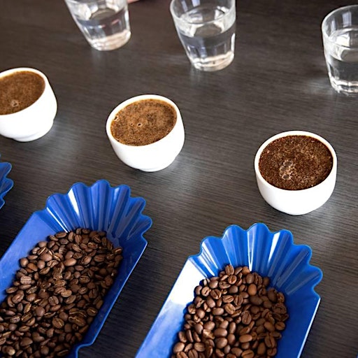 L'Odeur de la Brûlerie