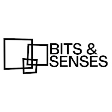 Bits & Senses