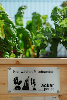 Ackerpause
