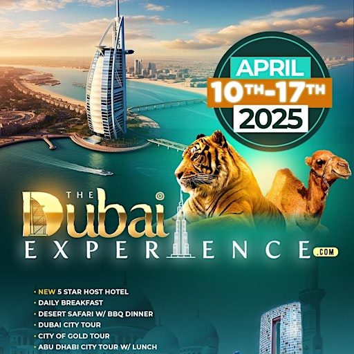 THE DUBAI EXPERIENCE