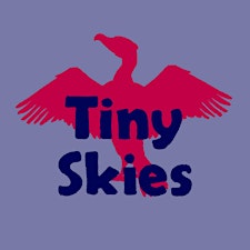 Tiny Skies