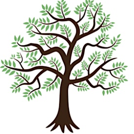 The Alders Unit at Children's Health Ireland